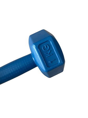 CKSpor  2'Li Dambıl Seti 1 kg X 2 Adet Plastik Dambıl Ağırlık Seti  Köşeli 