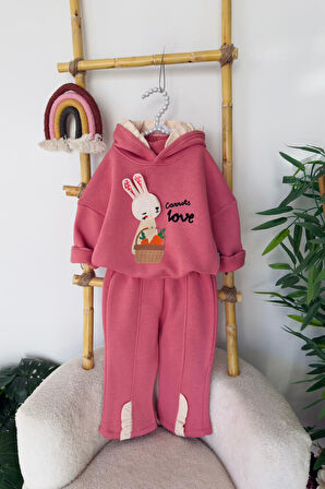 Miniğimin Cicileri Tavşan Detaylı Kışlık Kız Bebek Takım - Gül Kurusu