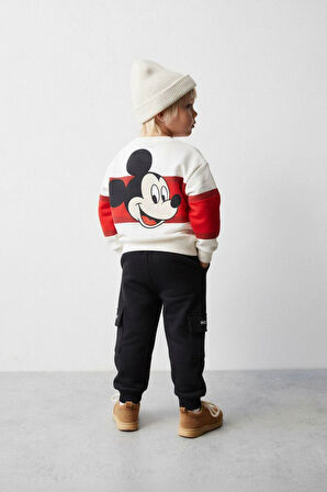 Miniğimin Cicileri Mck Ms Şeritli Erkek Çocuk 2 li Takım - Çok Renkli