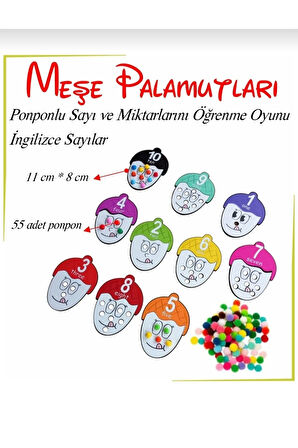 Meşe Palamudu Sayı ve Miktarlarını Öğreniyorum Ahşap Oyuncak