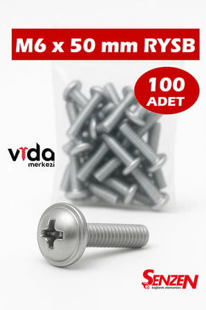 M6x50 Pul Başlı RYSB Vida – 100’lü