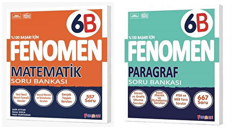 Fenomen Okul 2025 6. Sınıf Matematik + Paragraf B Serisi Soru Seti 2 Kitap