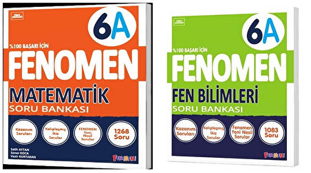Fenomen Okul 2025 6. Sınıf Matematik + Fen Bilimleri A Serisi Soru Seti 2 Kitap