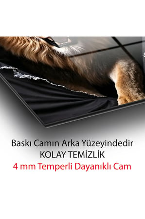 3D Görünümlü Lüks Parçalanmış Duvar Efektli Modern Kükreyen Aslan Temperli Cam Tablo Ofis Ev | Hayvan Figürlü Dekoratif Duvar Tablosu, Salon, ofis ve çalışma alanı dekoru,