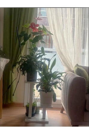 MİAMİ MODEL BEYAZ ÇOK KATLI METAL SAKSI ÇİÇEK BİTKİ 4 KAT STANDI (1 ADET FİYATI) SALON OTURMA BALKON