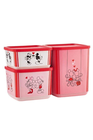 Minnie Ve Mickey Temalı Kübik 3'lü Saklama Seti