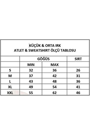 Miniş Hohoho Santa Küçük-Orta Irk Köpek Yılbaşı Sweatshirtü