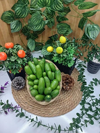 1 kilo bebek avokado