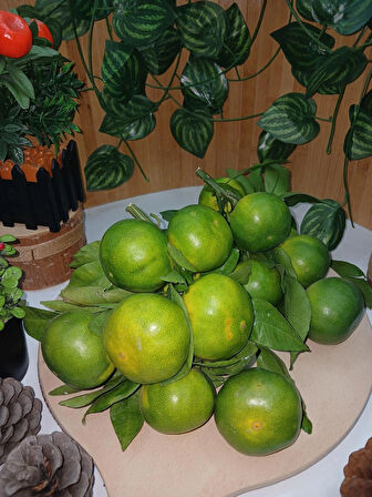 Mandalina (1 kg)