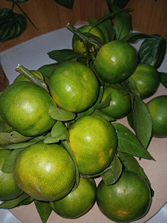 Mandalina (1 kg)