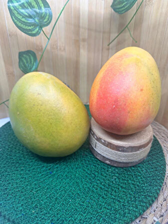 1 adet Mango