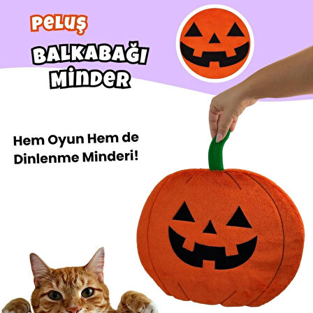 Cadılar Bayramı Temalı Kedi Oyuncak Seti | Hışırtılı Yarasa, Balkabağı Minder ve Örümcek Kedi Oltası