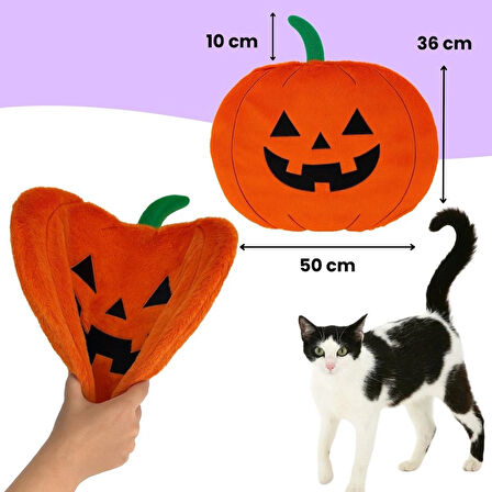 Cadılar Bayramı Temalı Kedi Oyuncak Seti | Hışırtılı Yarasa, Balkabağı Minder ve Örümcek Kedi Oltası