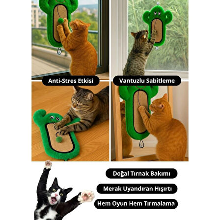 Miyav Kedi Tırmalama Matı Peluş Kaktüs Oyuncak