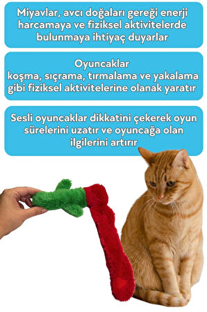 Miyav Peluş Gül Kedi Zeka Oyuncağı