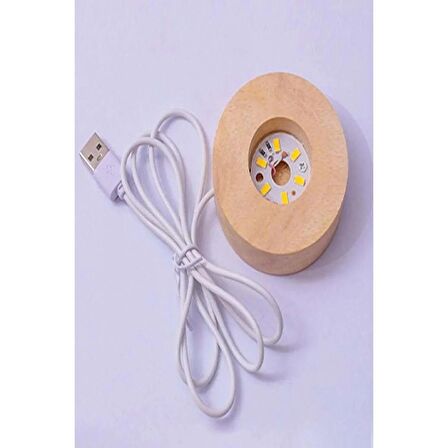 Mobgift Usb'li Işıklı Ahşap Standlı Ren Geyiği Cam Küre
