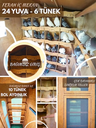 MANDU Ahşap Güvercin Kümesi