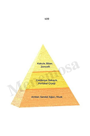 No: 528 + 409 Erkek / Kadın Parfüm Edp 50 ml Fresh / Oriental - Mnms50no528409