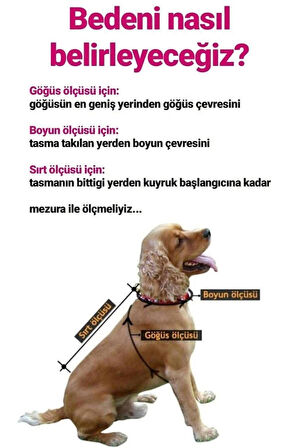 Peluşlu Mocca Küçük Irk Köpek Yağmurluğu