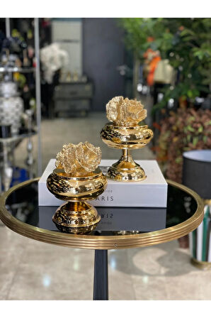 İkili Yapay Mercanlı Şekerlik