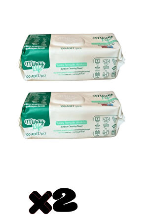 Yüzey Temizleme Havlusu 2X100 yaprak