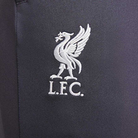 Liverpool Fc Strike Third Erkek Eşofman Altı - Fn7322-015