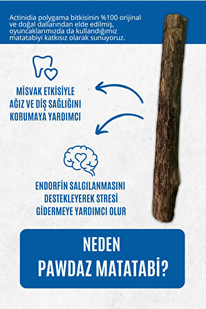 STICK - Kediler için diş temizlemeye ve stres gidermeye yardımcı oyuncak (3'lü)