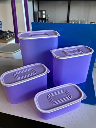 Tupperware Multi Oval Saklama Set 4 lü 