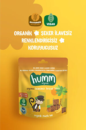 Humm Organic Organik Glutensiz Vegan Muzlu Kek Atıştırmalık Paketi - 30 G X 3 adet