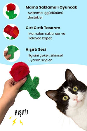 Miyav Love You Peluş Kedi Oyuncak Seti Hışırtılı Şişe İçecek, Mama Saklamalı Gül, Çıngıraklı Mektup