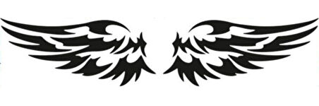 Miyrem Kanat Oto Sticker 2 Adet Siyah 18 x 8 Cm