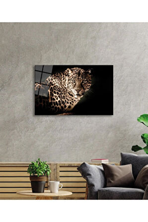  Miyrem Glasses Collection -A1^#  Leopar Hayvan Portresi Cam TabloCam Tablo
