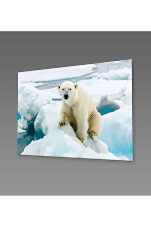  Miyrem Glasses Collection -A1^#  Buzulların Bekçisi Cam Tablo  