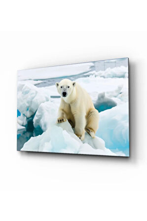  Miyrem Glasses Collection -A1^#  Buzulların Bekçisi Cam Tablo  