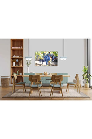  Miyrem Glasses Collection -A1^#  Meyveler Cam Tablo