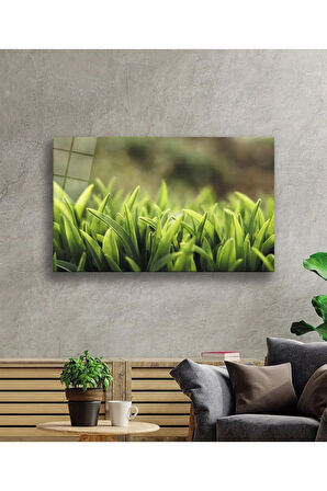  Miyrem Glasses Collection -A1^#  Yeşil Yapraklar Cam Tablo, Cam Tablo