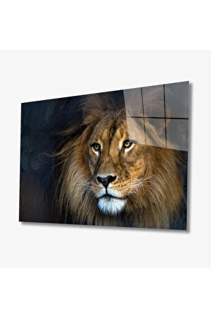  Miyrem Glasses Collection -A1^#  Aslan Hayvan Cam Tablo