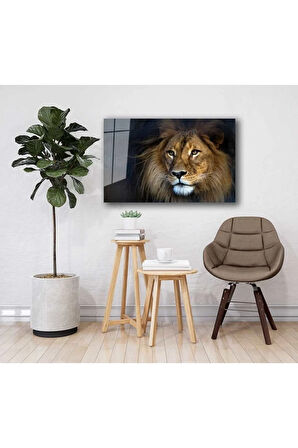  Miyrem Glasses Collection -A1^#  Aslan Hayvan Cam Tablo