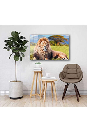  Miyrem Glasses Collection -A1^#  Aslan Hayvan Cam Tablo