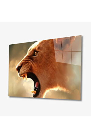  Miyrem Glasses Collection -A1^#  Aslan Hayvan Cam Tablo