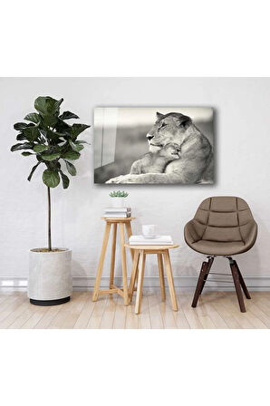  Miyrem Glasses Collection -A1^#  Aslan Hayvan Cam Tablo