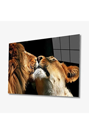  Miyrem Glasses Collection -A1^#  Aslan Hayvan Cam Tablo