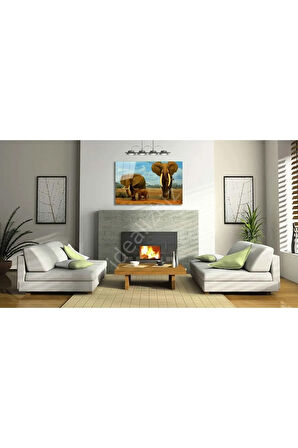  Miyrem Glasses Collection -A1^#  Filler Hayvan Cam Tablo