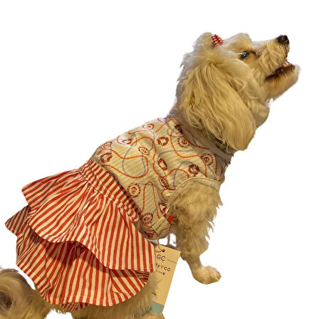 Gedyco Navy Red Küçük Irk Köpek Elbisesi