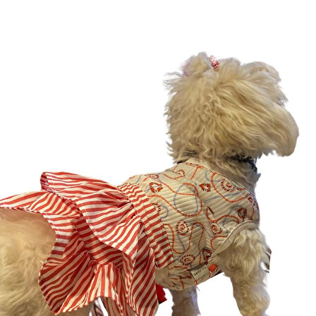 Gedyco Navy Red Küçük Irk Köpek Elbisesi