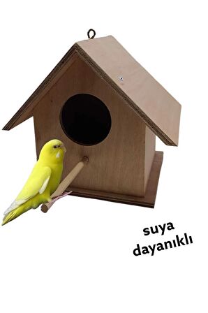 Ahşap Kayın Kuş Yuvası Kuş Evi Dış Mekan Suya Dayanıklı 14x14x19
