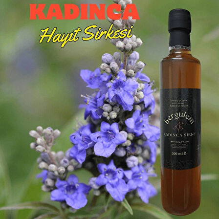 Neşe Natural Bergulem Kadınca Hayıt Sirkesi 500 ml