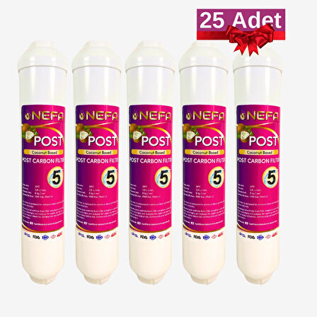 Nefa Coconut Based Post Carbon Filtre Su Arıtma (25 Adet)