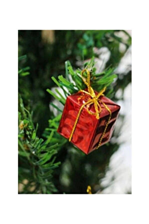 Hediye Paketi Yılbaşı Süsü 12 li