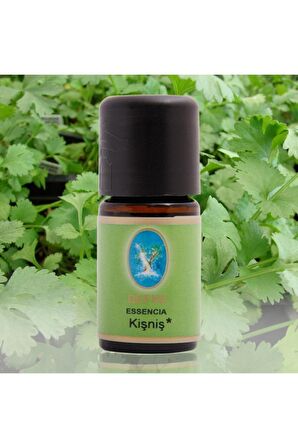 Nuka Organik Kişniş Yağı 5 Ml.